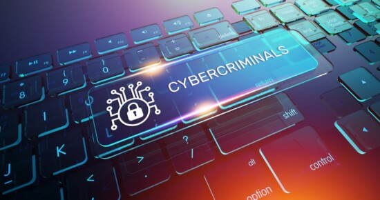 How Cybercriminals Commit Wire Fraud and How You Can Protect Your Company