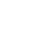 A white line icon depicts a computer chip.