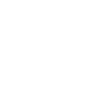 A white line icon depicts a padlock