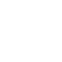 A white line icon depicts a shield with a keyhole.