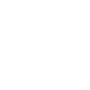 A white line icon depicts a globe.